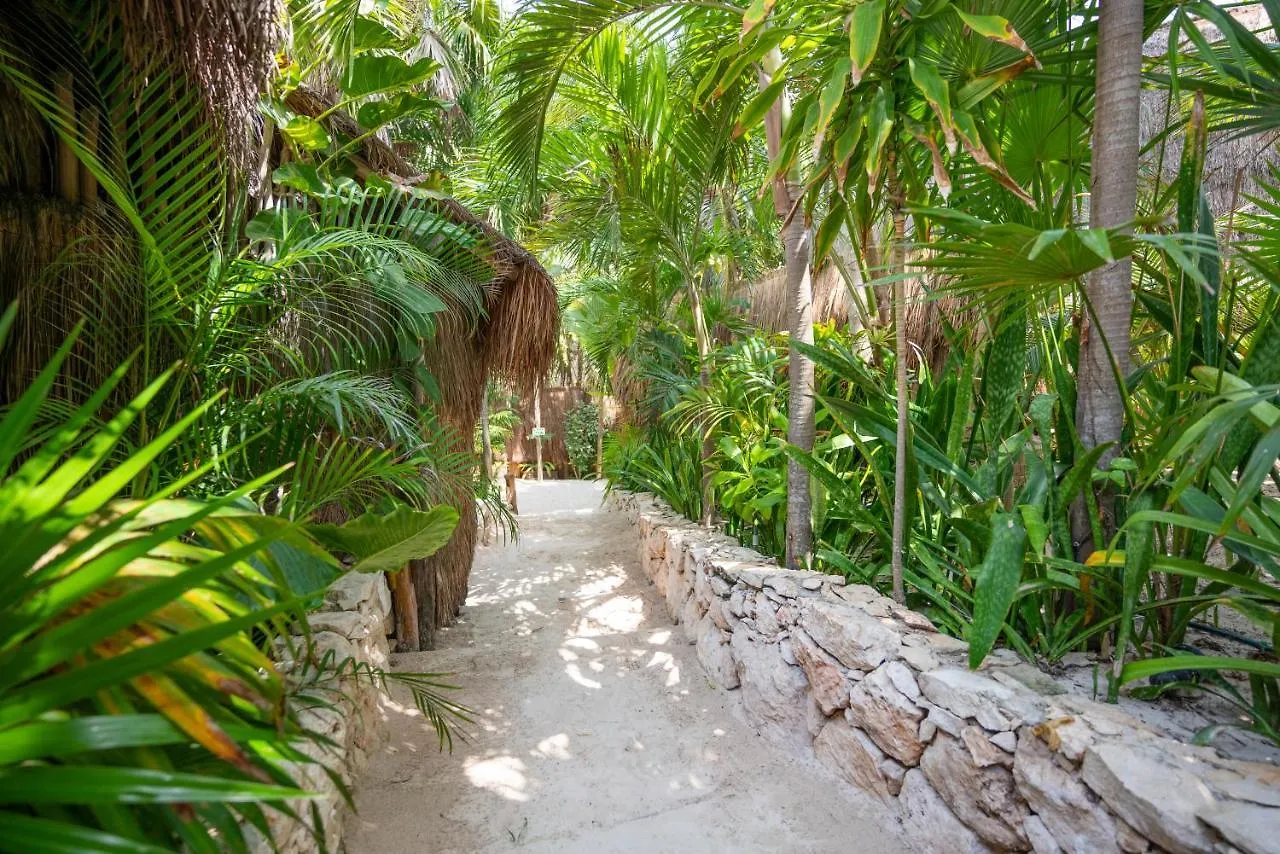****  Ahau Tulum - Beachfront Hotel (Adults Only) Mexico