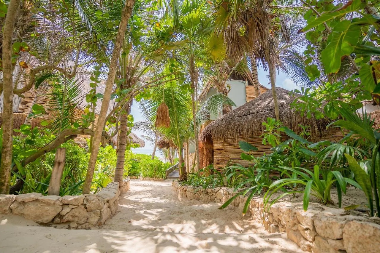 Ahau Tulum - Beachfront Hotel (Adults Only)